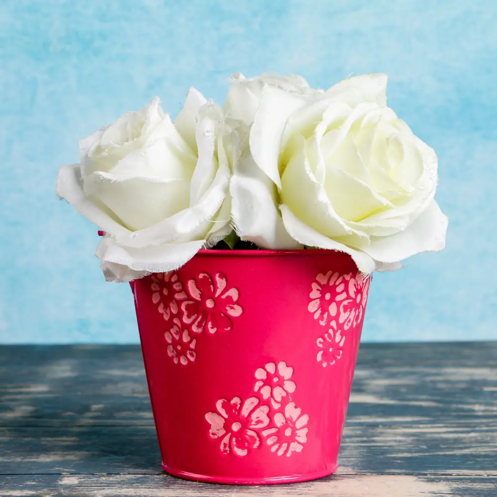 Фото Кашпо 3924635 Take it easy 10 см 1 л металл красный Фото Кашпо 3924635 Take it easy 10 см 1 л металл красный