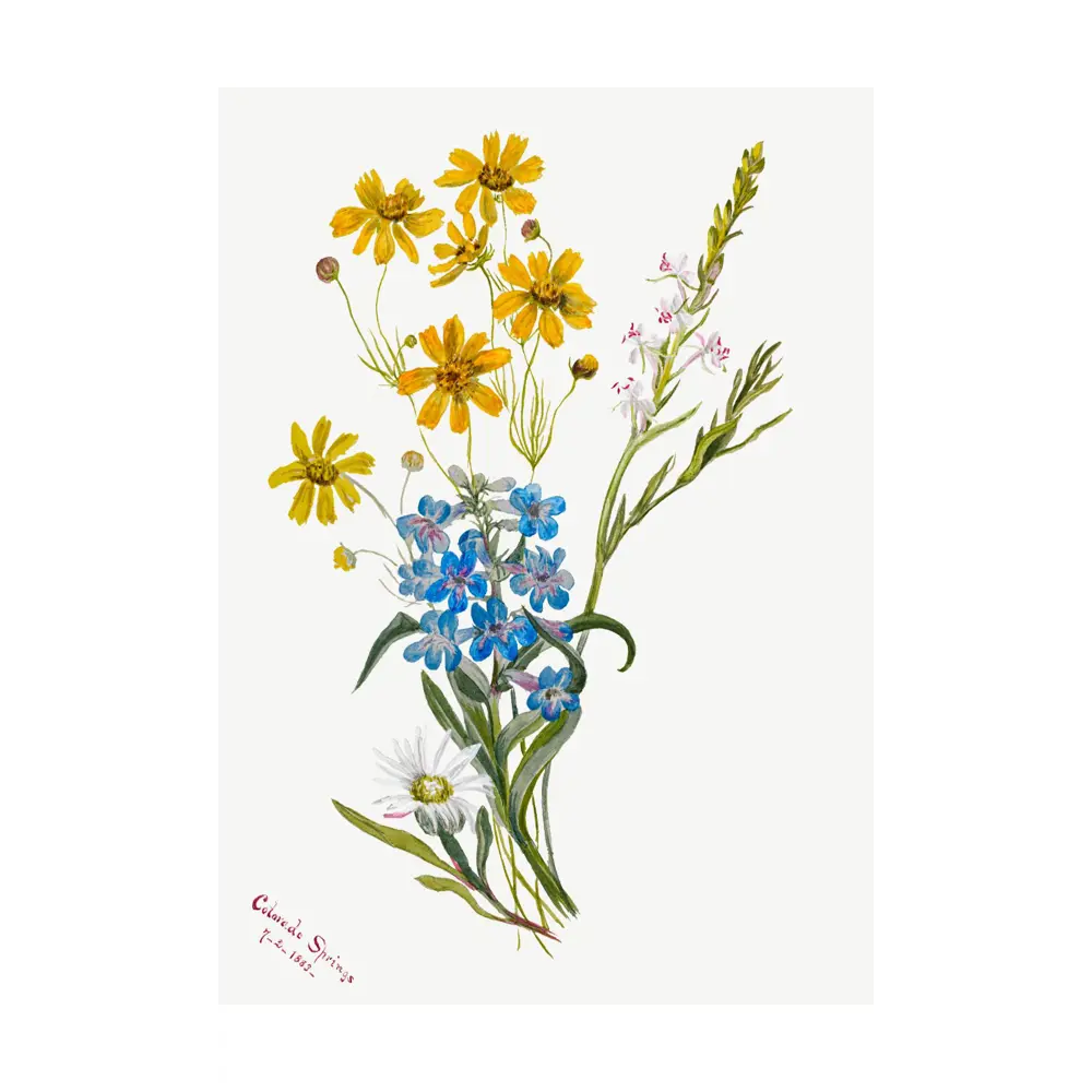 Фото Постер на холсте Дикие цветы - Цветочный микс 90x120 см в подарочном тубусе без рамы Фото Постер на холсте Дикие цветы - Цветочный микс 90x120 см в подарочном тубусе без рамы