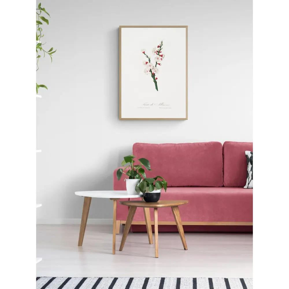 Фото 2 Постер на холсте Дикие цветы - Цветок абрикоса 40x50 см в подарочном тубусе без рамы Фото 2 Постер на холсте Дикие цветы - Цветок абрикоса 40x50 см в подарочном тубусе без рамы