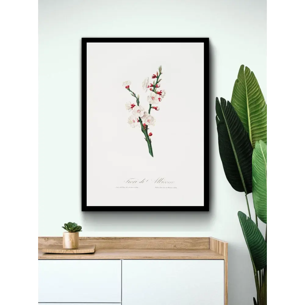 Фото 3 Постер на холсте Дикие цветы - Цветок абрикоса 40x50 см в подарочном тубусе без рамы Фото 3 Постер на холсте Дикие цветы - Цветок абрикоса 40x50 см в подарочном тубусе без рамы