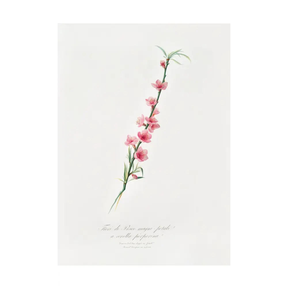 Фото Постер на холсте Дикие цветы - Веточка цветущего персика 90x120 см в подарочном тубусе без рамы