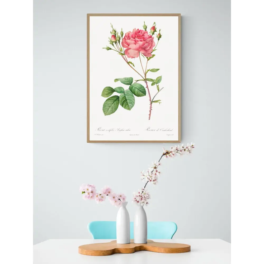 Фото 2 Постер на холсте Дикие цветы - Английская роза 60x90 см в подарочном тубусе без рамы Фото 2 Постер на холсте Дикие цветы - Английская роза 60x90 см в подарочном тубусе без рамы