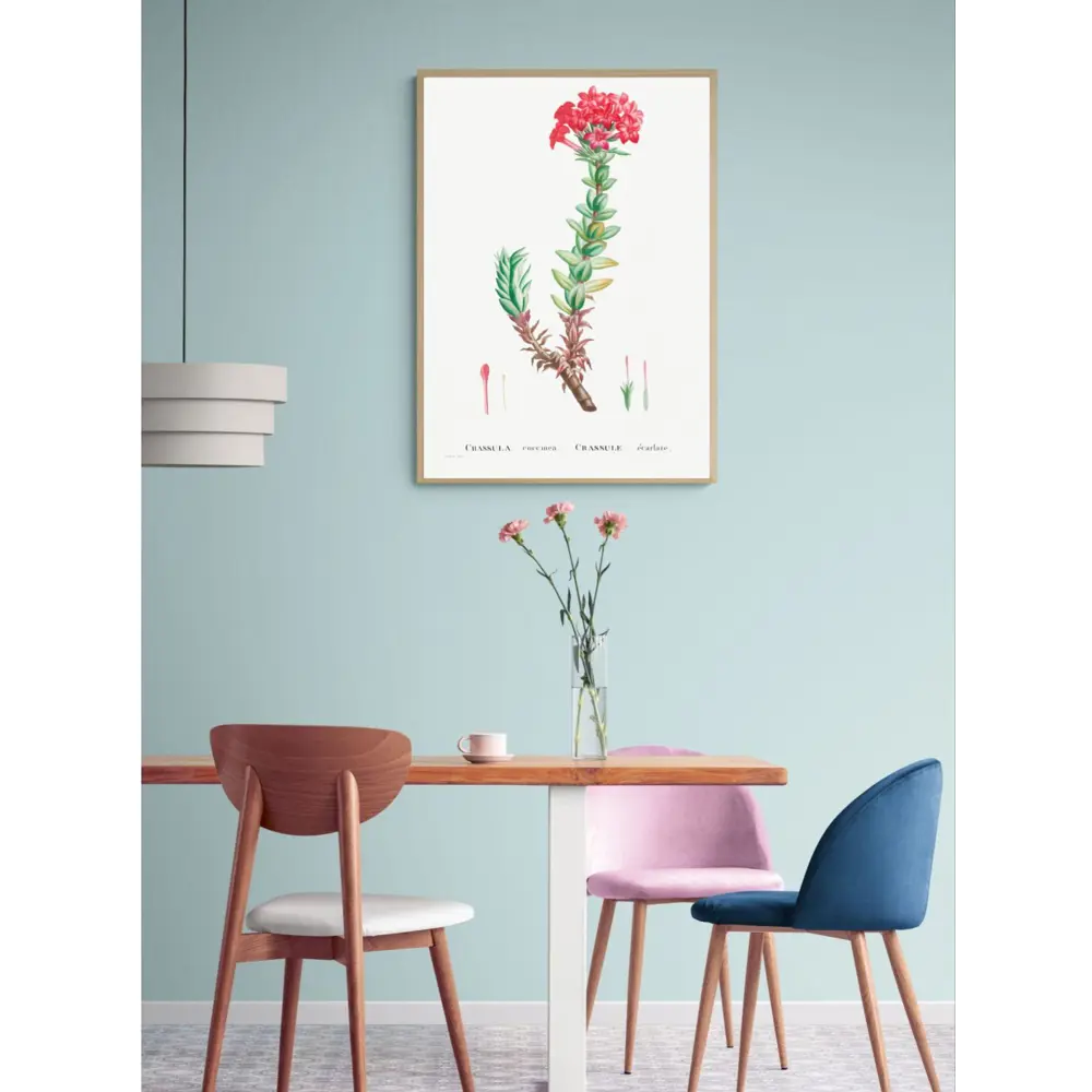 Фото 3 Постер Дикие цветы - Красная Крассула 40x50 см в раме Фото 3 Постер Дикие цветы - Красная Крассула 40x50 см в раме