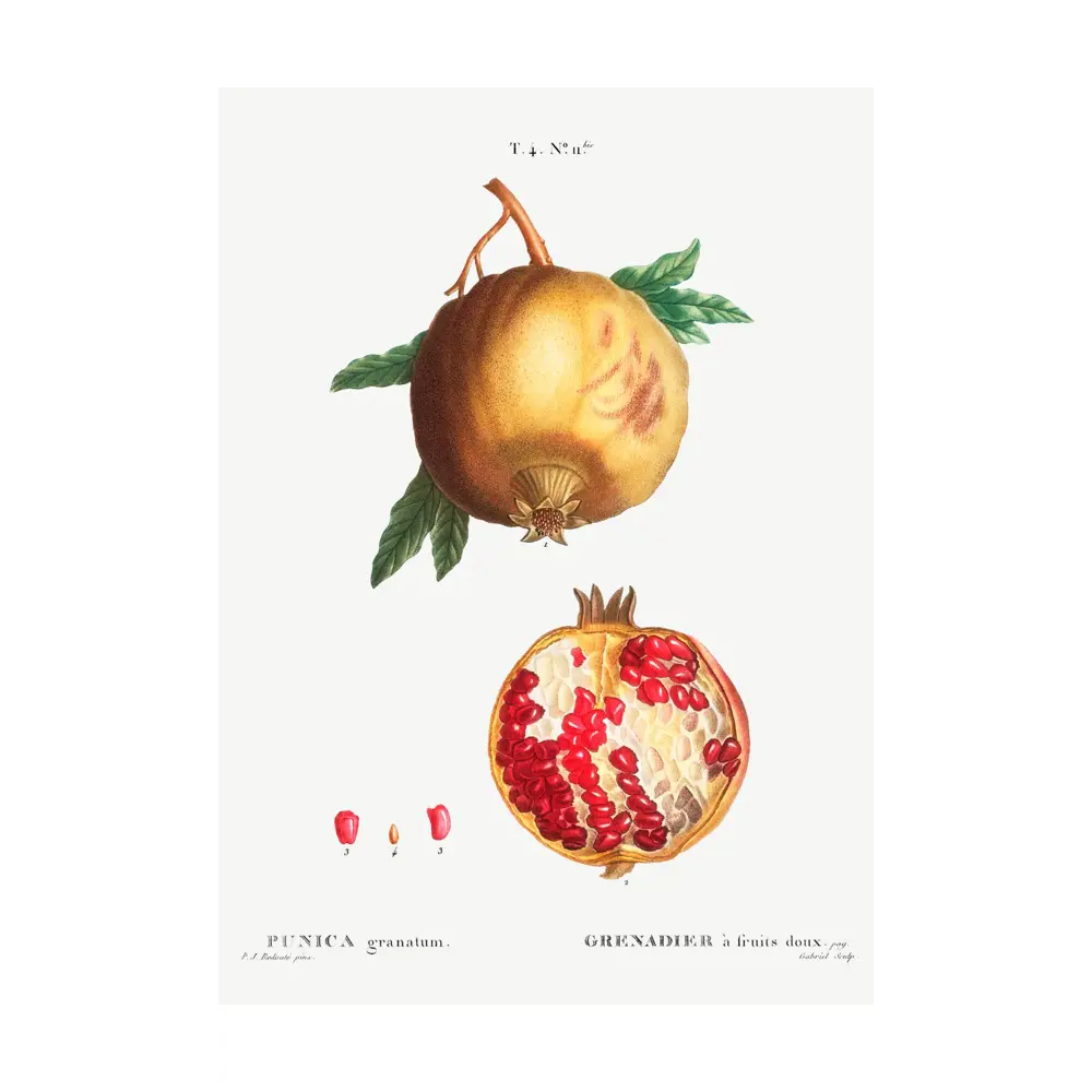 Фото Постер на холсте Фрукты - Спелый гранат 60x90 см в подарочном тубусе без рамы Фото Постер на холсте Фрукты - Спелый гранат 60x90 см в подарочном тубусе без рамы