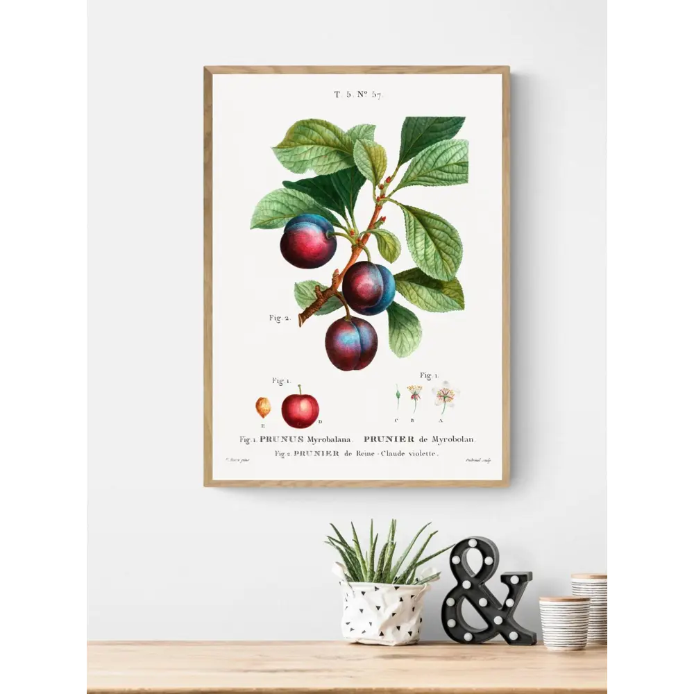 Фото 3 Постер на холсте Фрукты - Сливы на веточке 90x120 см в подарочном тубусе без рамы