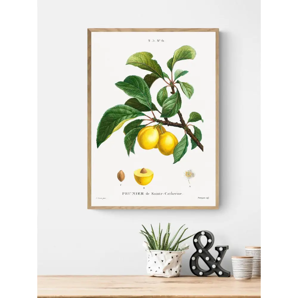 Фото 2 Постер Фрукты - Желтая слива 60x90 см в раме Фото 2 Постер Фрукты - Желтая слива 60x90 см в раме