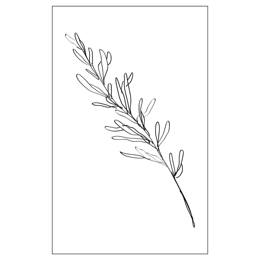 Фото Постер на холсте Линии - Веточка акации 40x50 см в подарочном тубусе без рамы Фото Постер на холсте Линии - Веточка акации 40x50 см в подарочном тубусе без рамы