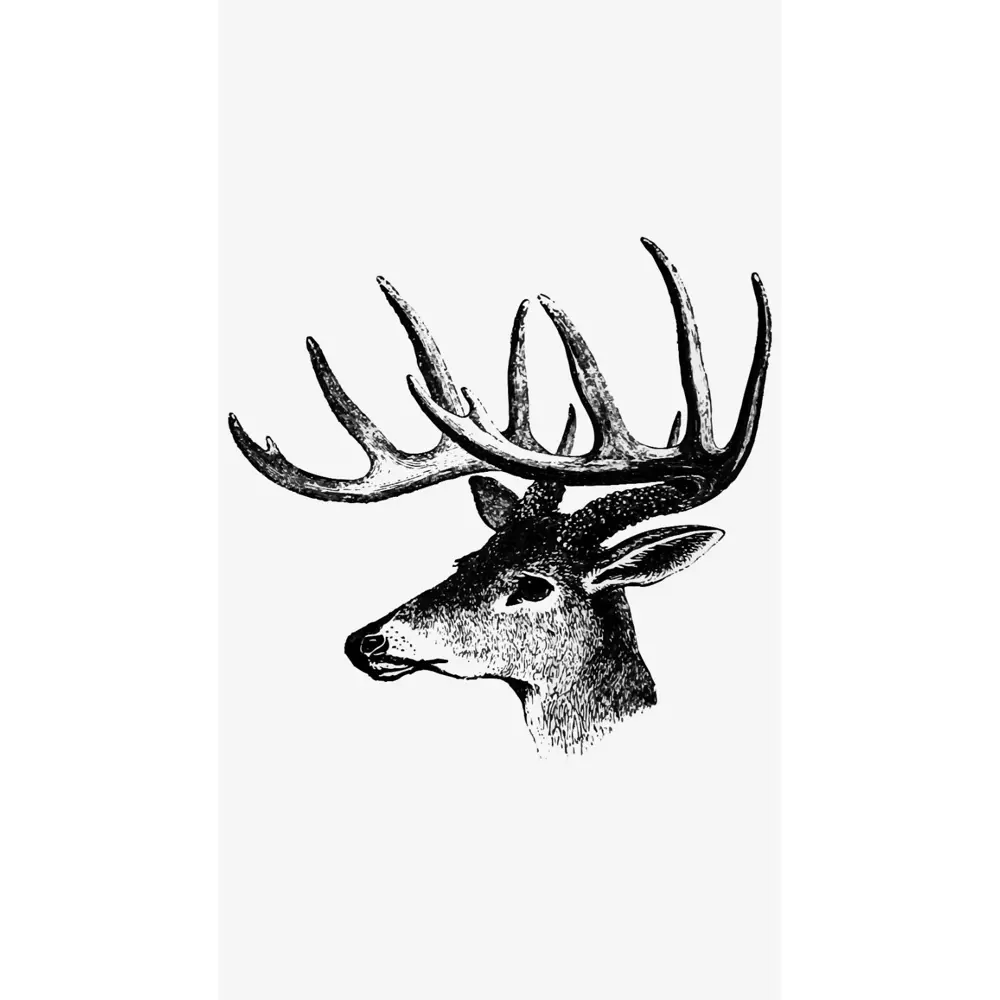 Фото Постер на холсте Олени - Голова оленя 90x120 см в подарочном тубусе без рамы Фото Постер на холсте Олени - Голова оленя 90x120 см в подарочном тубусе без рамы