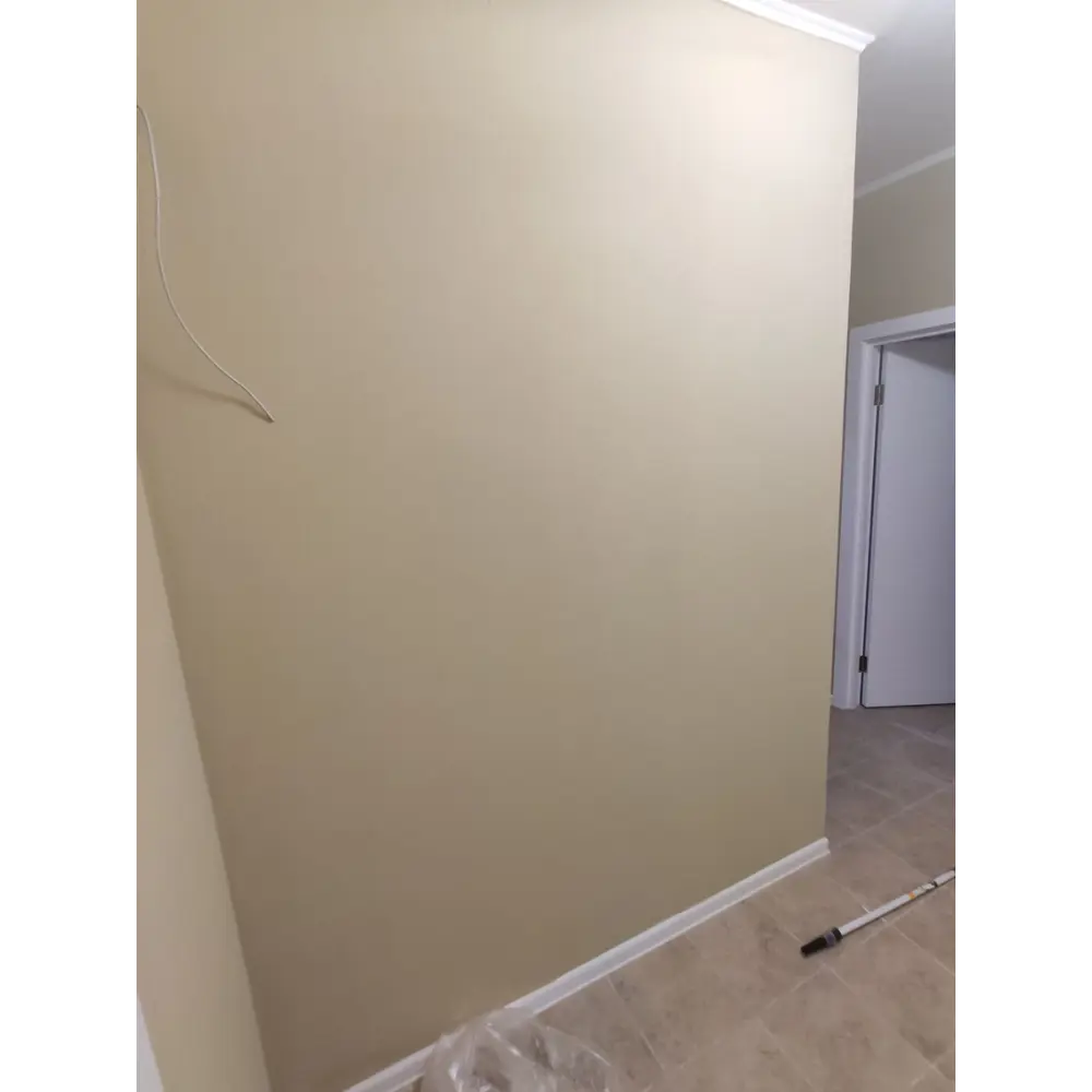 Фото 2 Краска для стен и потолков EUROPAINT цвет латте 1 л Фото 2 Краска для стен и потолков EUROPAINT цвет латте 1 л