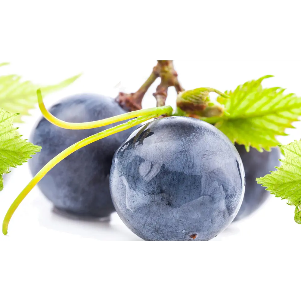 Фото 3 Стеновая панель матовая Фартукофф ФФ - 214 100x60x0.15 см ПВХ цвет разноцветный Фото 3 Стеновая панель матовая Фартукофф ФФ - 214 100x60x0.15 см ПВХ цвет разноцветный