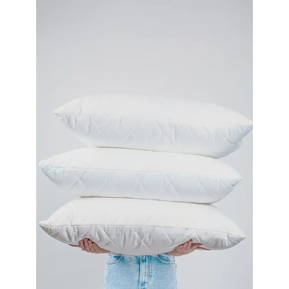 Фото Подушка GoodNight Organic двухкамерная овечья шерсть/искусственный лебяжий пух/тик 70x70 Фото Подушка GoodNight Organic двухкамерная овечья шерсть/искусственный лебяжий пух/тик 70x70