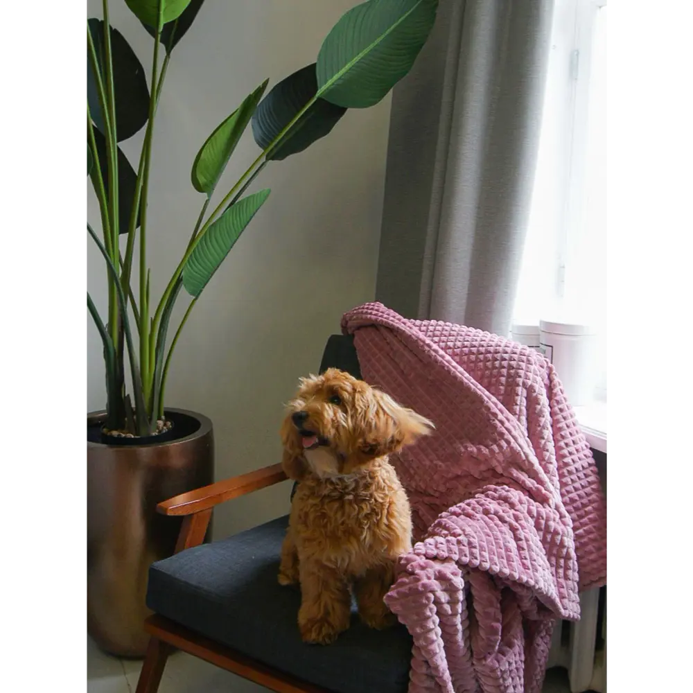 Фото 2 Плед GoodNight Велсофт Velvet 200x220 клюква Фото 2 Плед GoodNight Велсофт Velvet 200x220 клюква