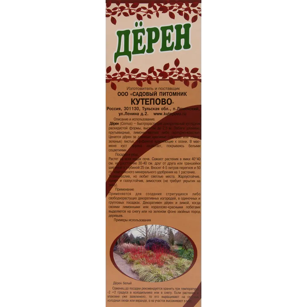 Фото 3 Дерен белый Аргентеомаргината 9x30 см