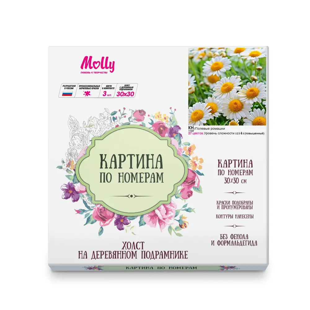 Фото 2 Картина по номерам Molly 30x30 см Полевые ромашки (27 цветов)