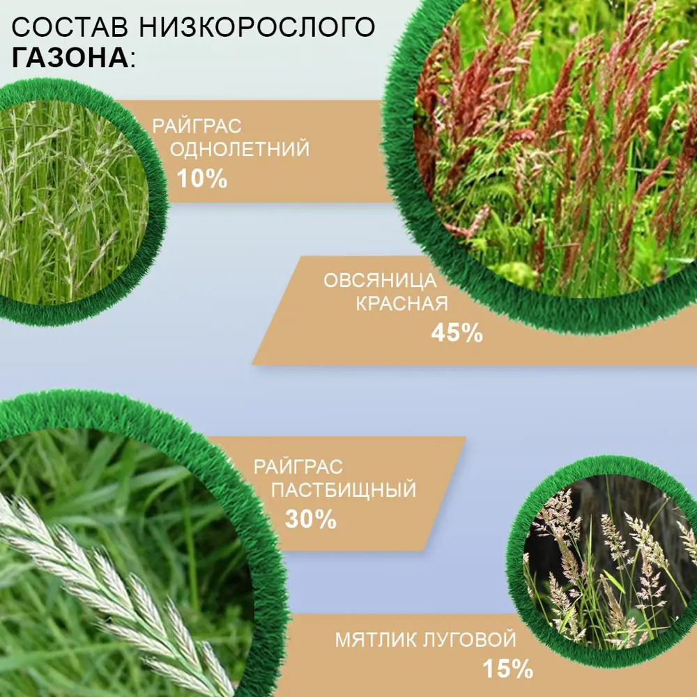 Фото 3 Семена газона Мираторг Низкорослый газон 1 кг Фото 3 Семена газона Мираторг Низкорослый газон 1 кг