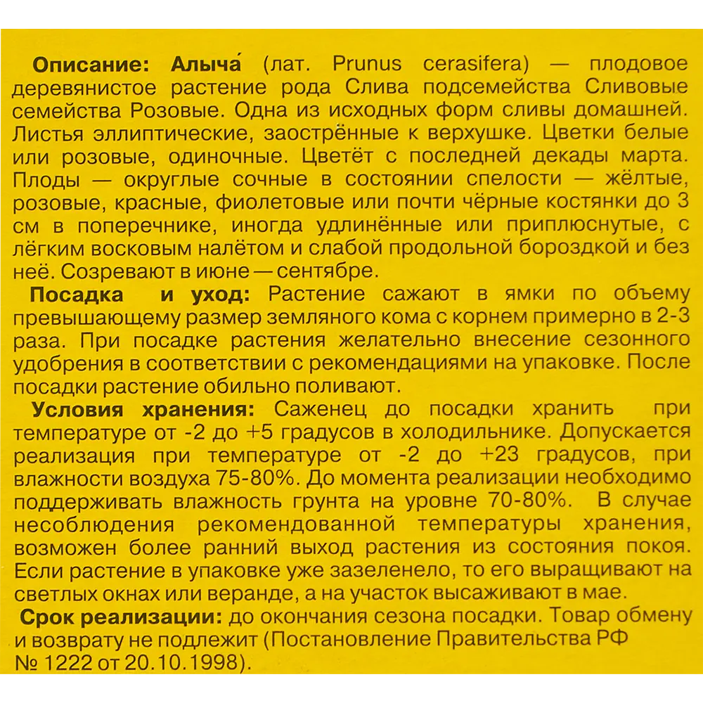 Фото 4 Алыча Кубанская комета 9x60 см Фото 4 Алыча Кубанская комета 9x60 см