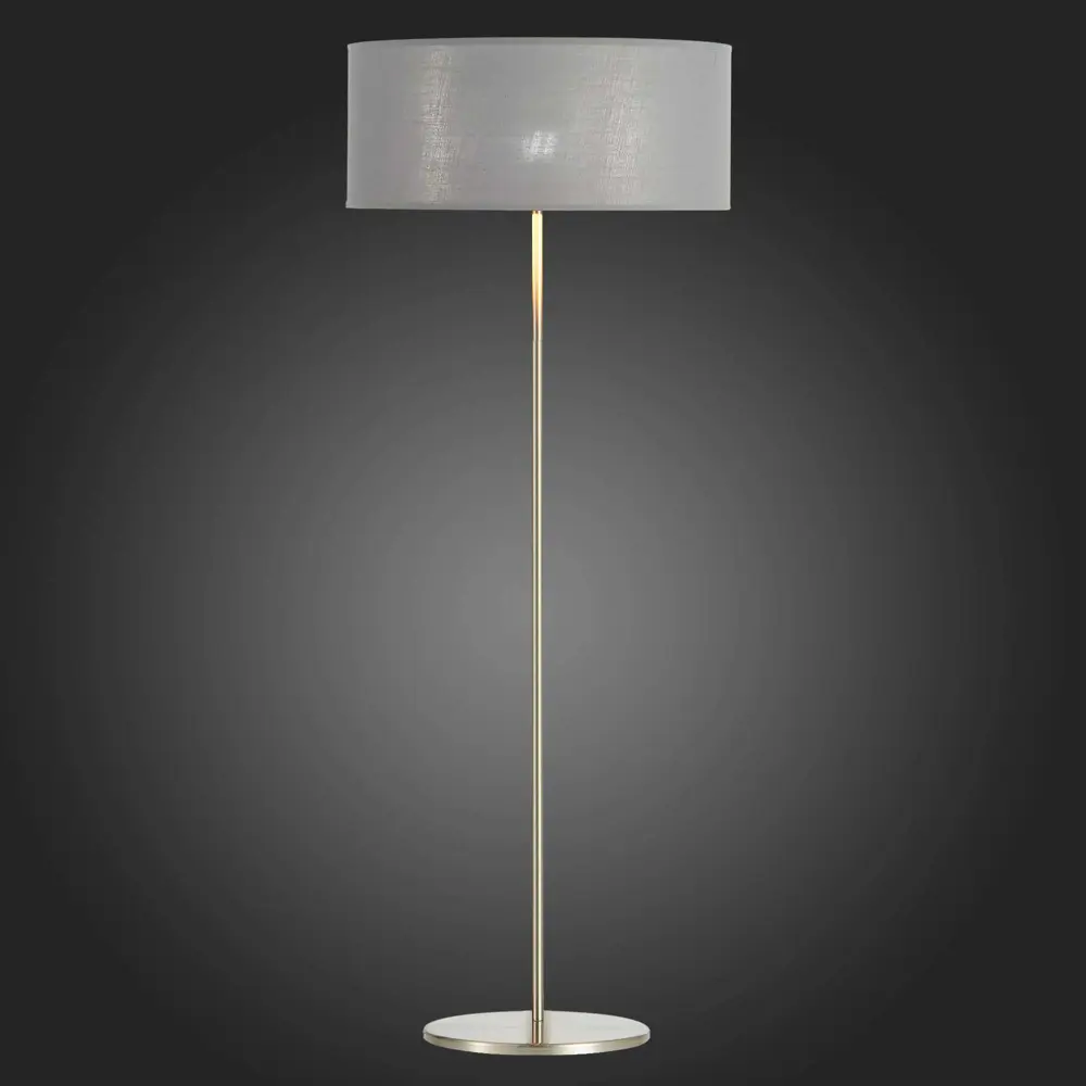 Фото 2 Торшер EVOLUCE SLE300515-01 BRESCIA цвет серебро Фото 2 Торшер EVOLUCE SLE300515-01 BRESCIA цвет серебро