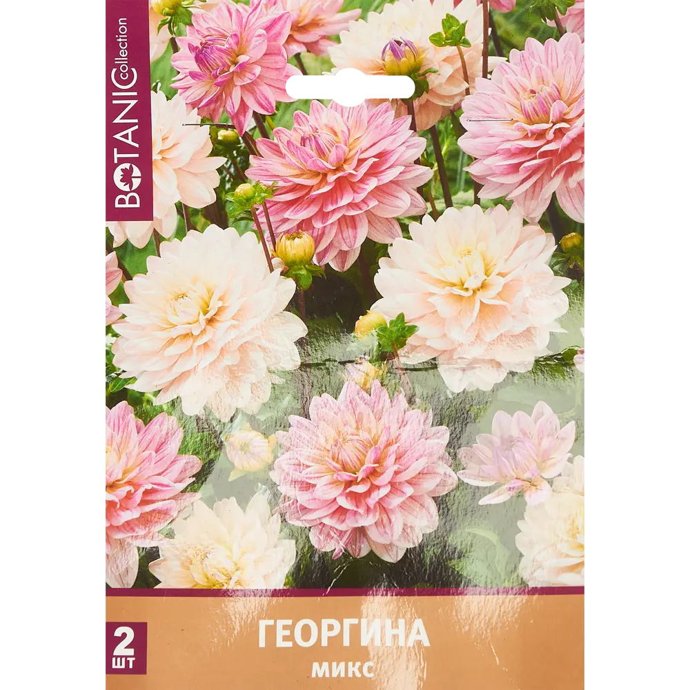 Фото 2 Дуэт Георгина 01 2 шт. Фото 2 Дуэт Георгина 01 2 шт.