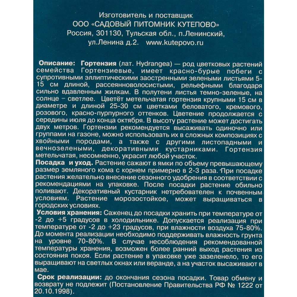 Фото 3 Гортензия метельчатая «Пинк Даймонд» в коробке Фото 3 Гортензия метельчатая «Пинк Даймонд» в коробке
