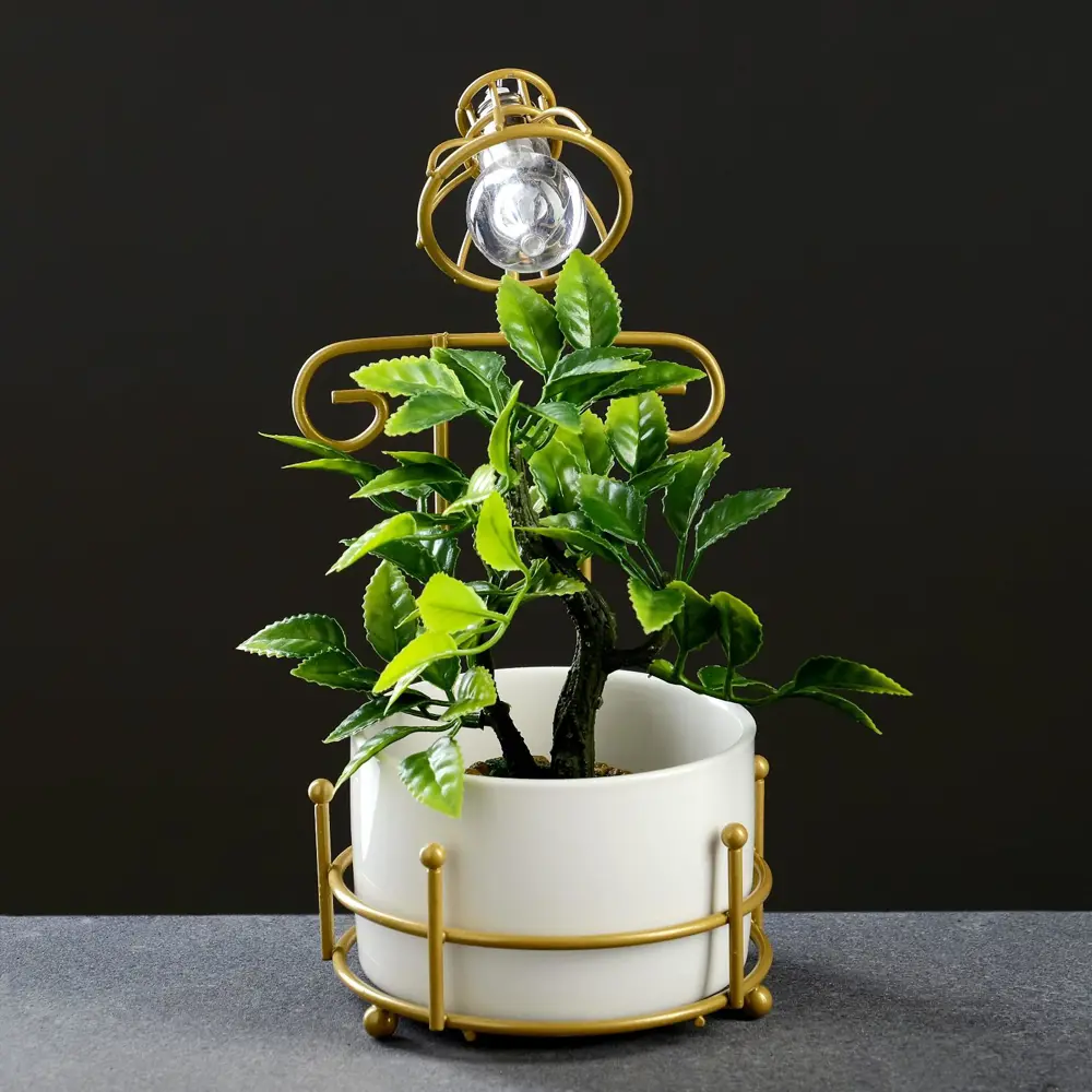 Фото Горшок цветочный 5799927 Take it easy 10 см 1 л керамика разноцветный Фото Горшок цветочный 5799927 Take it easy 10 см 1 л керамика разноцветный