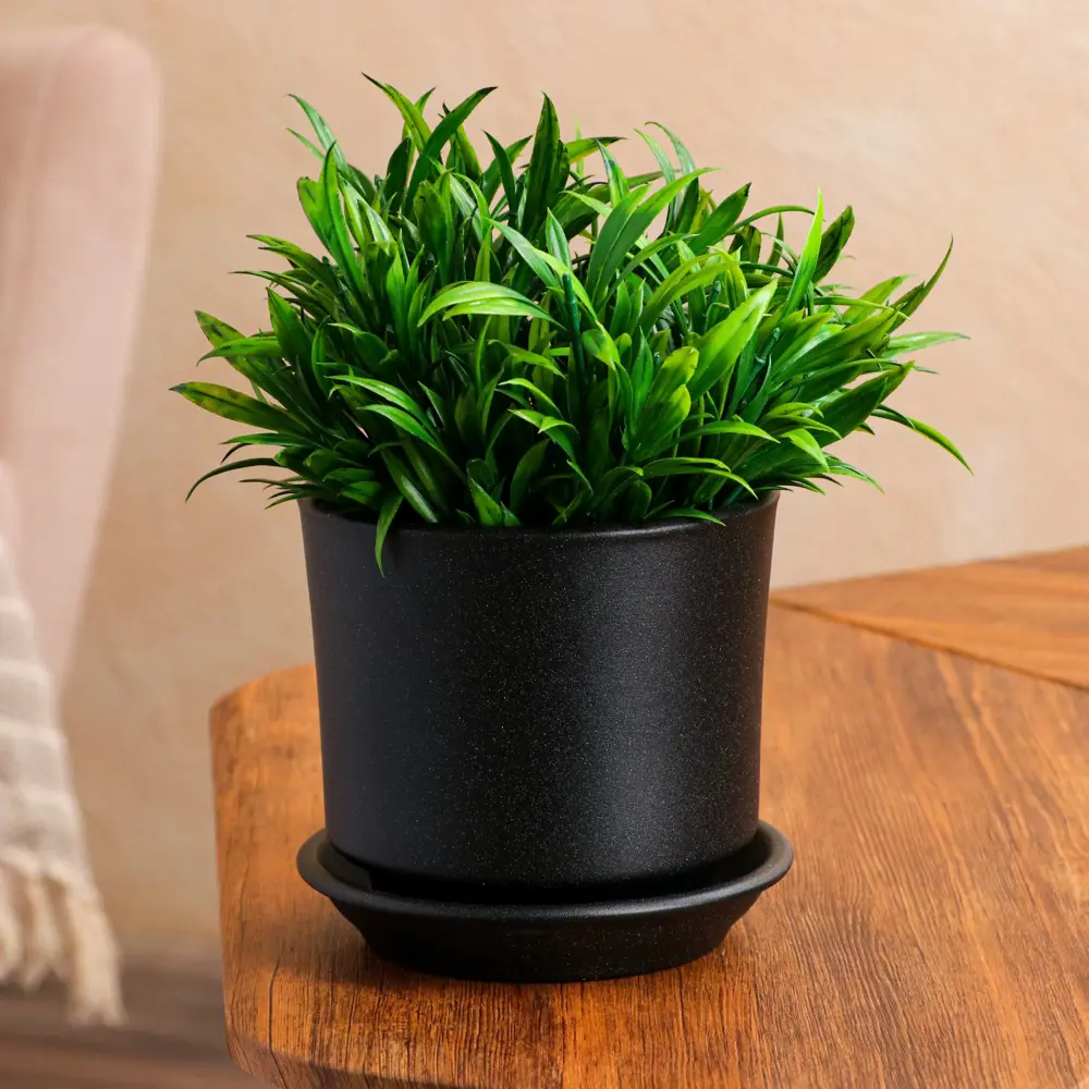 Фото Горшок цветочный 7471806 Ориана 10 см 1.2 л керамика разноцветный Фото Горшок цветочный 7471806 Ориана 10 см 1.2 л керамика разноцветный