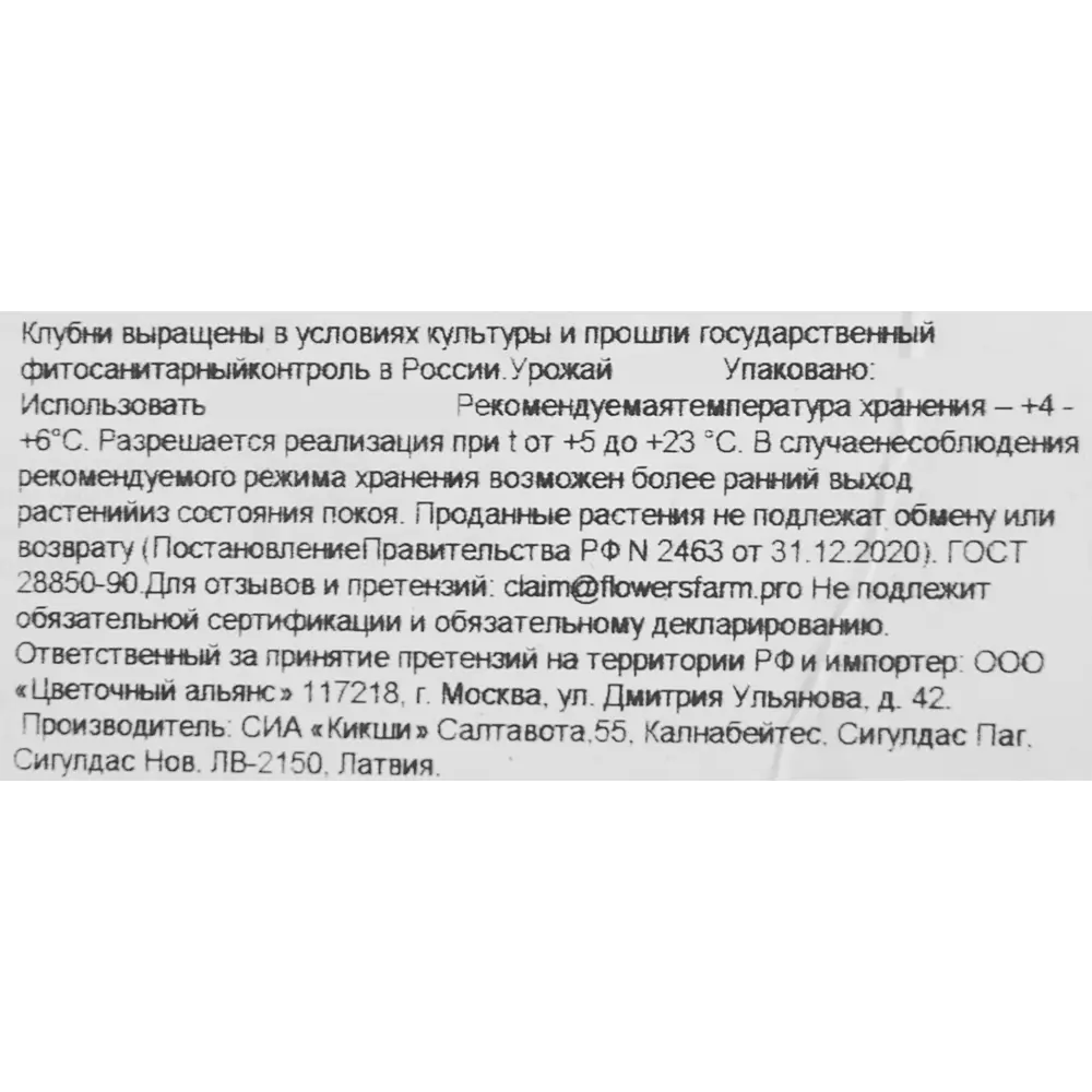 Фото 4 Георгина бордюрная Блюзетт 1 шт. Фото 4 Георгина бордюрная Блюзетт 1 шт.