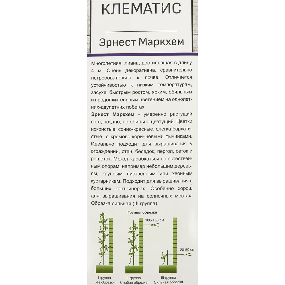 Фото 4 Клематис Эрнест Макхем в тубе Поиск Инвест Фото 4 Клематис Эрнест Макхем в тубе Поиск Инвест