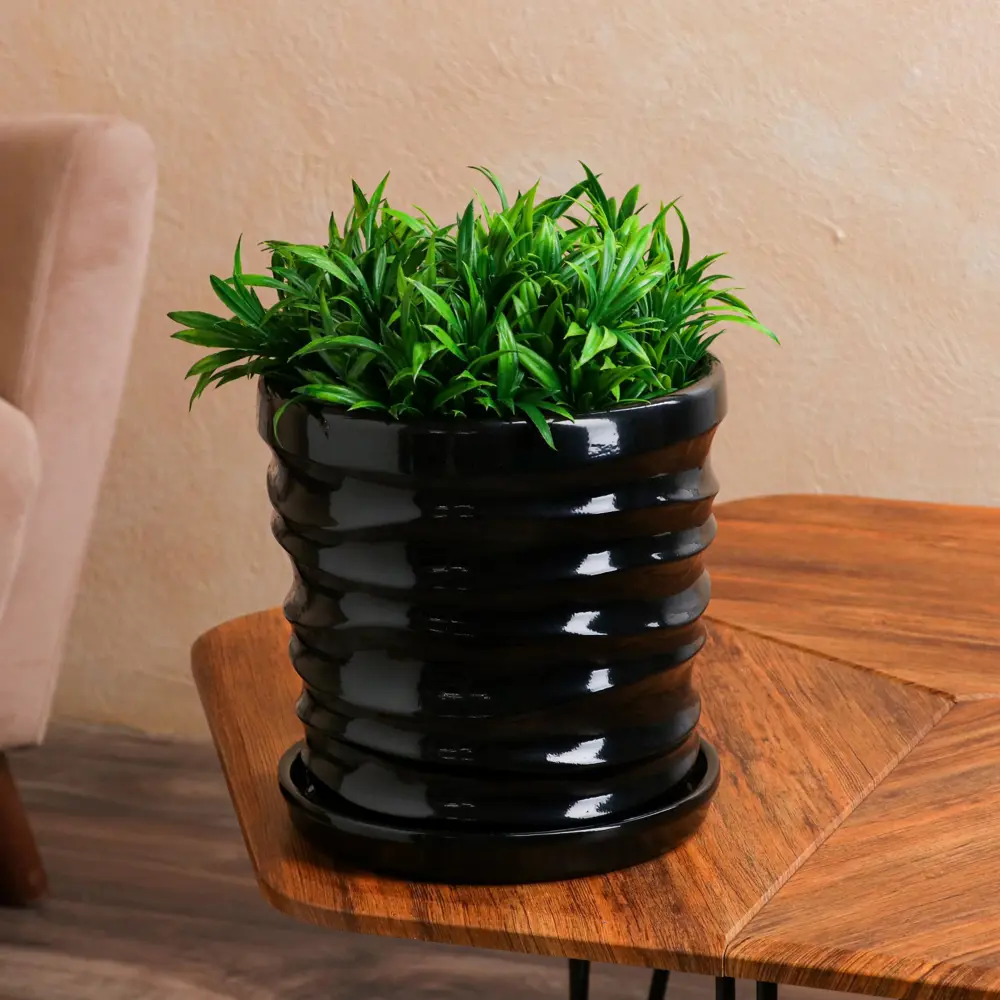 Фото Горшок цветочный 7709545 Nana ceramics 23 см 5 л керамика черный Фото Горшок цветочный 7709545 Nana ceramics 23 см 5 л керамика черный