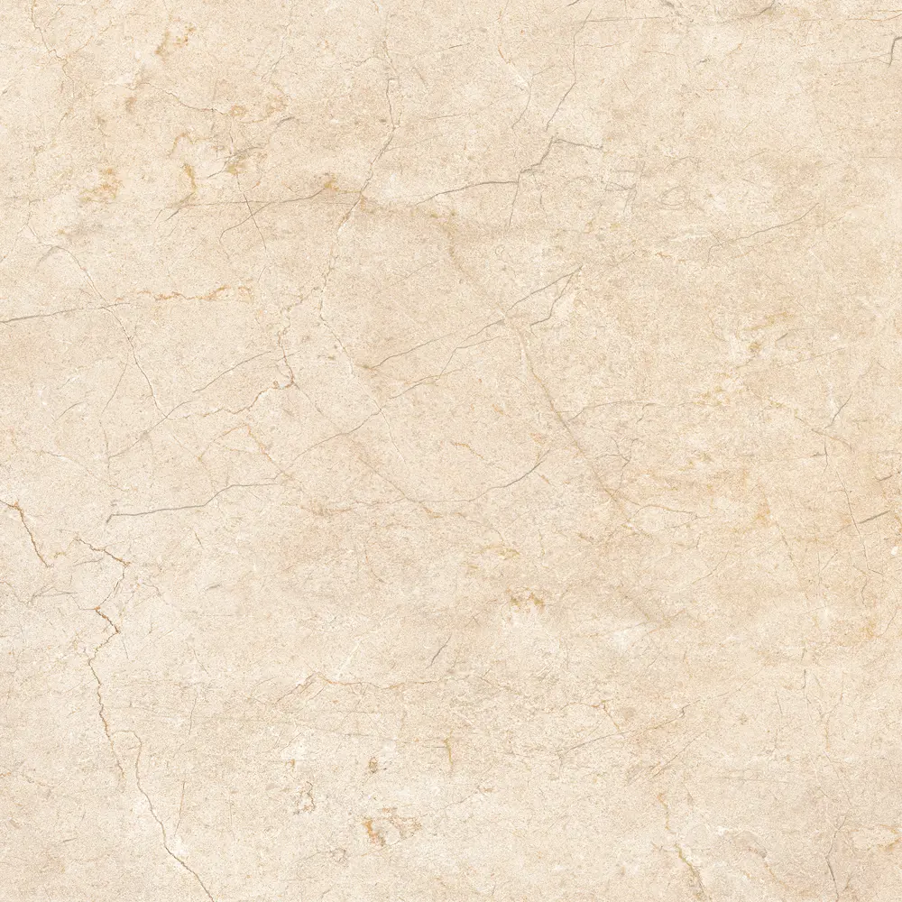 Фото 4 Декор Alma Ceramica Palermo GFU04PLR04R 600x600x9мм цена за упаковку Фото 4 Декор Alma Ceramica Palermo GFU04PLR04R 600x600x9мм цена за упаковку