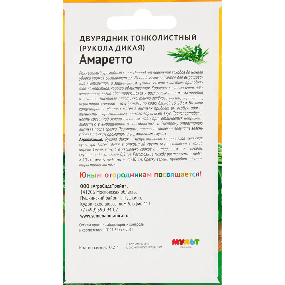 Фото 2 Двурядник тонколистный Ми-ми-мишки Амаретто Фото 2 Двурядник тонколистный Ми-ми-мишки Амаретто