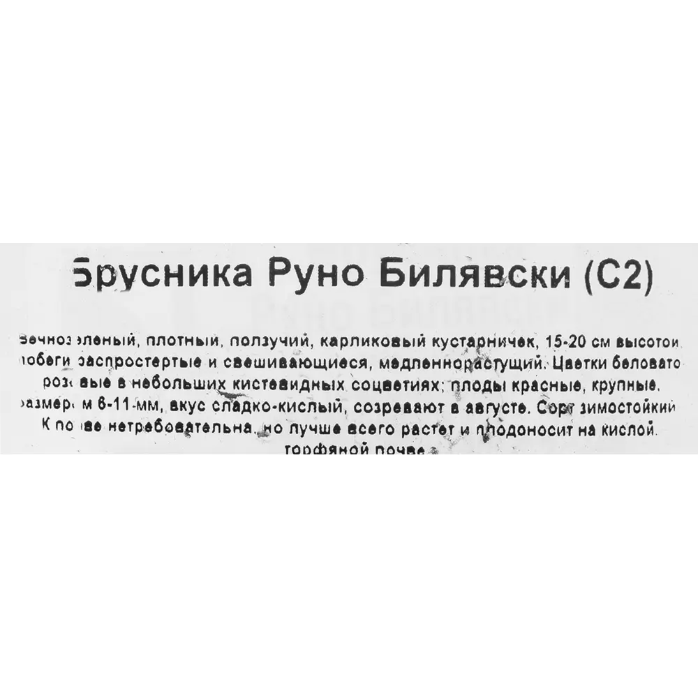 Фото 3 Брусника «Руно Билявске», контейнер 2 л