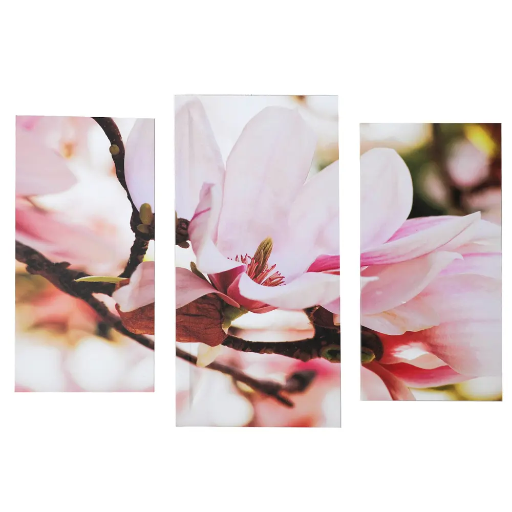 Фото Картина модульная на подрамнике "Магнолия" 2шт-25.5*50.5 см, 30.5*60 см, 60x100 см