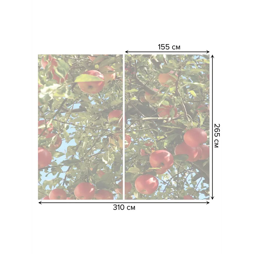 Фото 3 Тюль на шторной ленте Урожай яблок 310х265 см рисунок растительный цвет зеленый