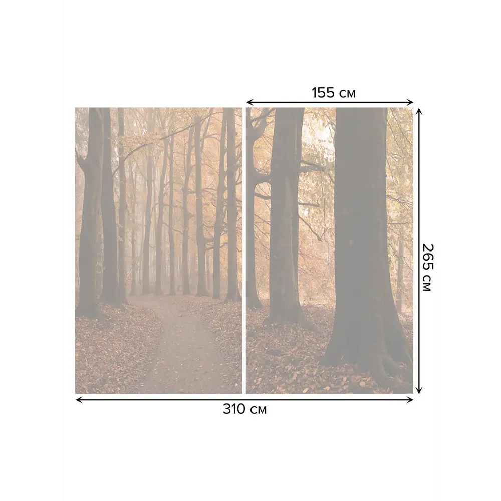 Фото 3 Тюль на шторной ленте Аллея неизвестности 310х265 см рисунок природный цвет коричневый Фото 3 Тюль на шторной ленте Аллея неизвестности 310х265 см рисунок природный цвет коричневый