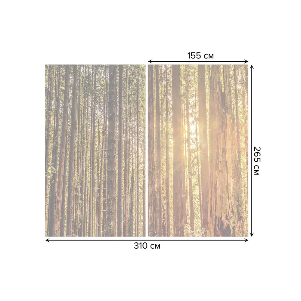 Фото 3 Тюль на шторной ленте Лучи солнца 310х265 см рисунок природный цвет коричневый Фото 3 Тюль на шторной ленте Лучи солнца 310х265 см рисунок природный цвет коричневый
