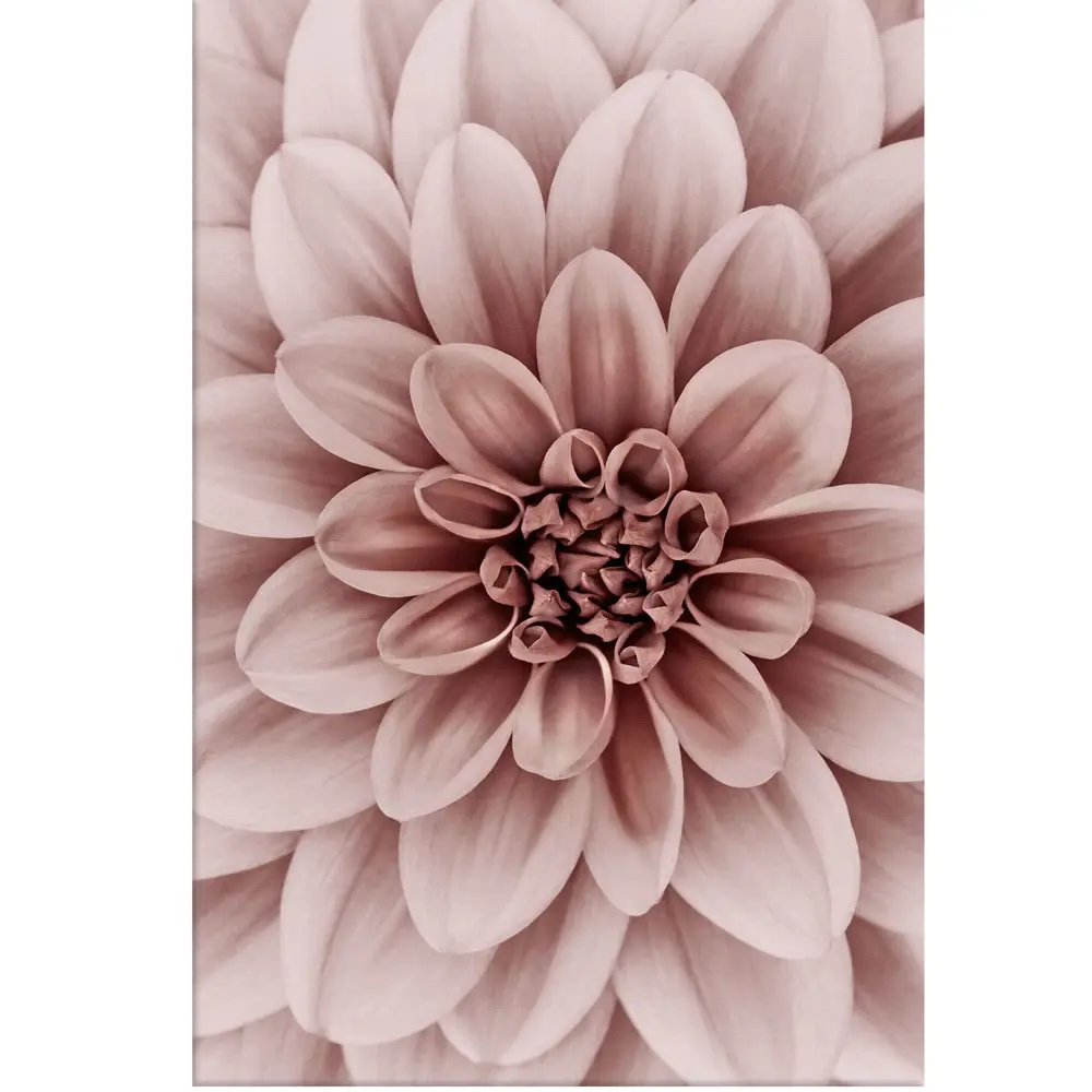 Фото Картина на холсте "Хризантема" 40x60 см