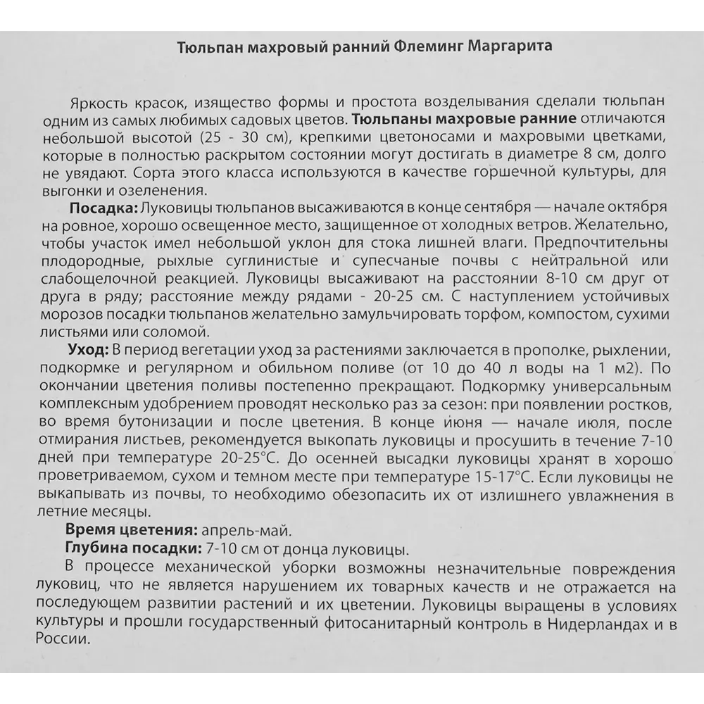 Фото 3 Тюльпан «Флеминг Маргарита» размер луковицы 12, 5 шт. Фото 3 Тюльпан «Флеминг Маргарита» размер луковицы 12, 5 шт.