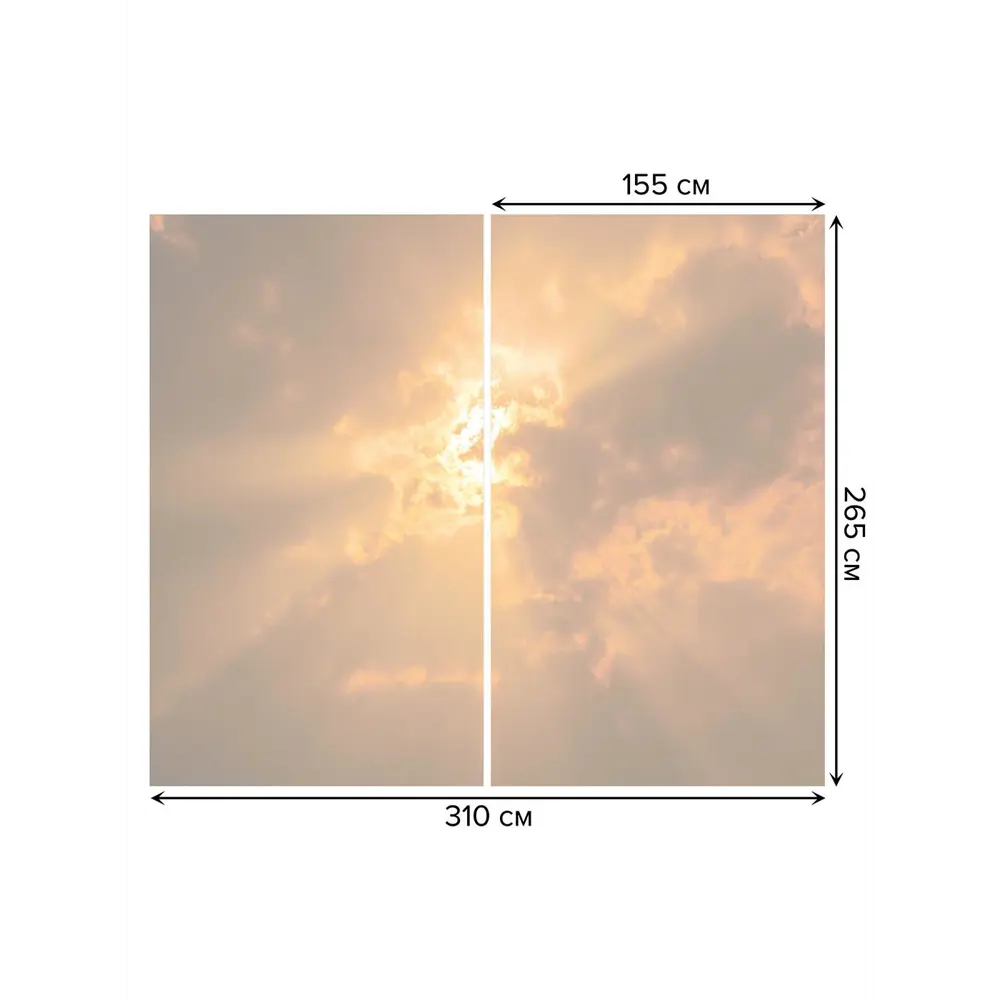 Фото 3 Тюль на шторной ленте Солнце прячется 310х265 см рисунок природный цвет коричневый