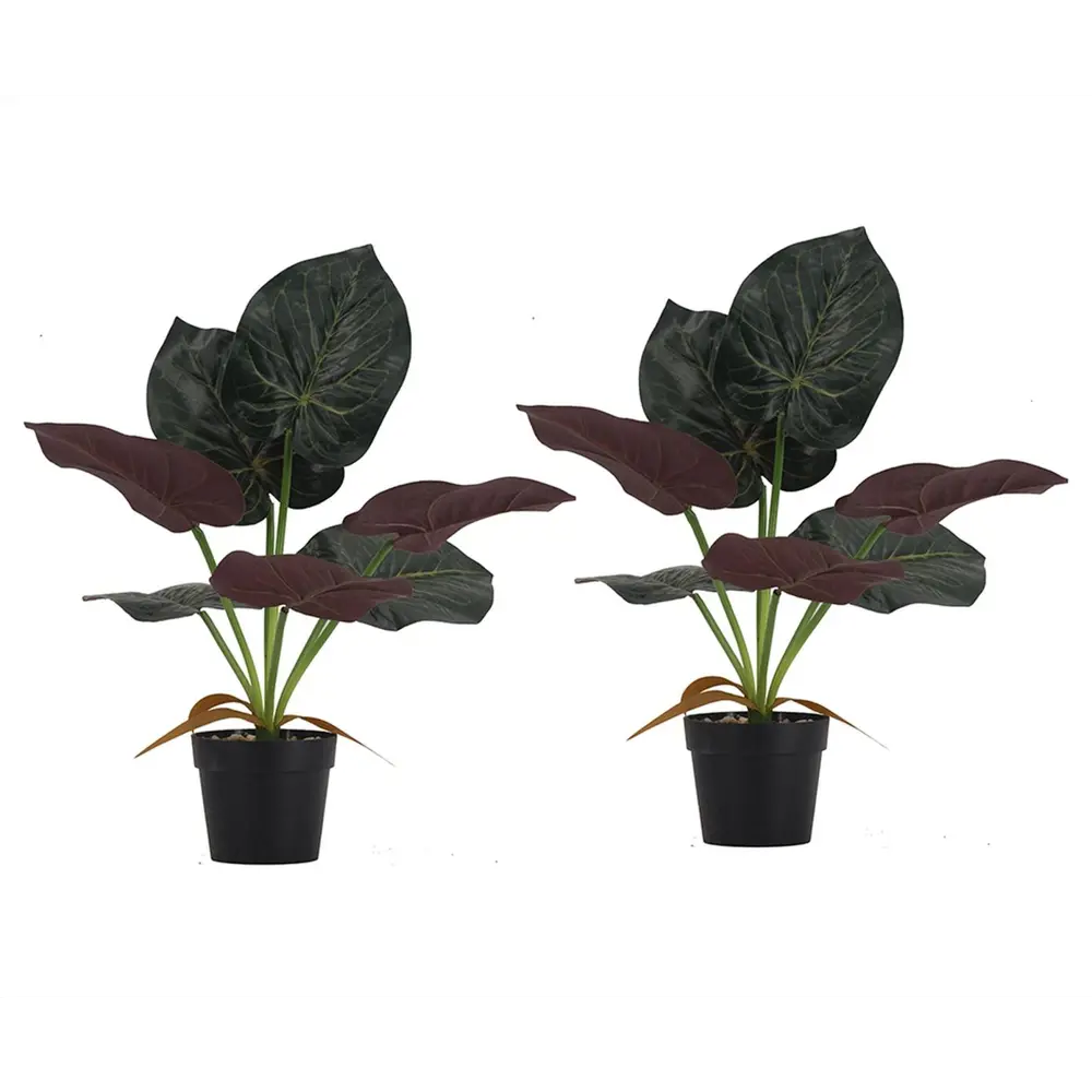 Фото Искусственные декоративные растения Алоказия SA11652 набор 2 предмета