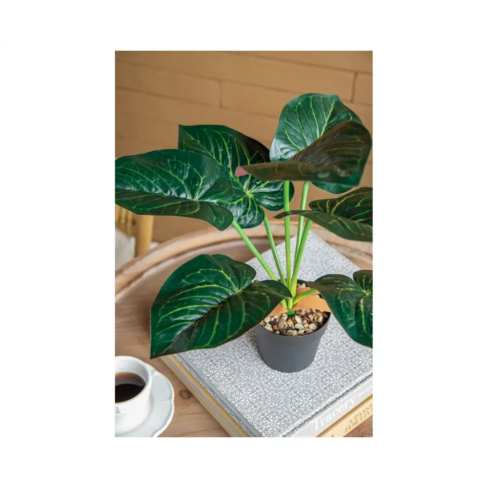 Фото 6 Искусственные декоративные растения Алоказия SA11652 набор 2 предмета
