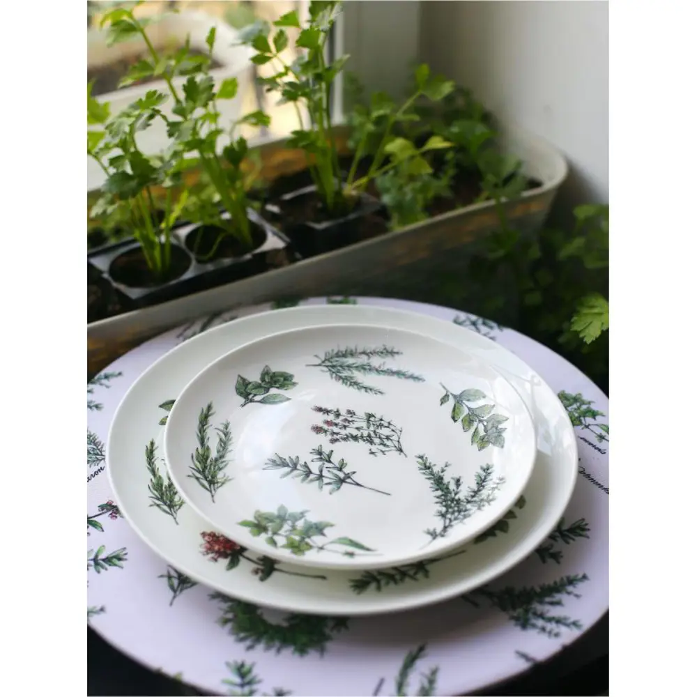 Фото 3 Тарелка Myatashop Пряные травы 26 см фарфор цет белый/зеленый Фото 3 Тарелка Myatashop Пряные травы 26 см фарфор цет белый/зеленый