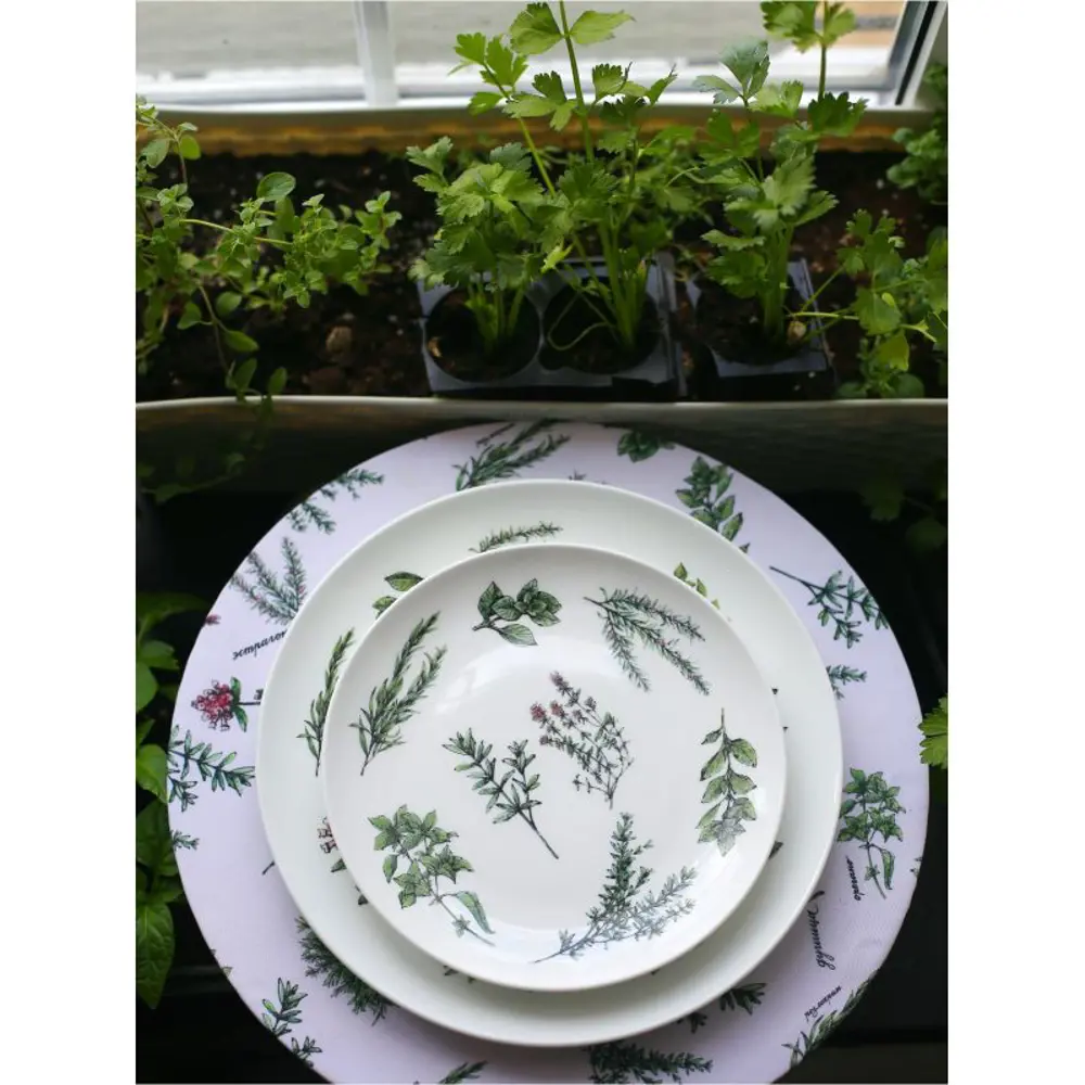 Фото 5 Тарелка Myatashop Пряные травы 26 см фарфор цет белый/зеленый Фото 5 Тарелка Myatashop Пряные травы 26 см фарфор цет белый/зеленый