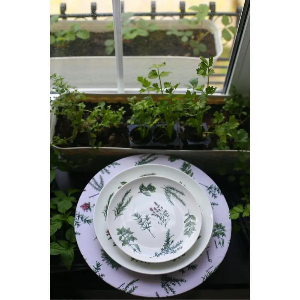 Фото 6 Тарелка Myatashop Пряные травы 26 см фарфор цет белый/зеленый Фото 6 Тарелка Myatashop Пряные травы 26 см фарфор цет белый/зеленый