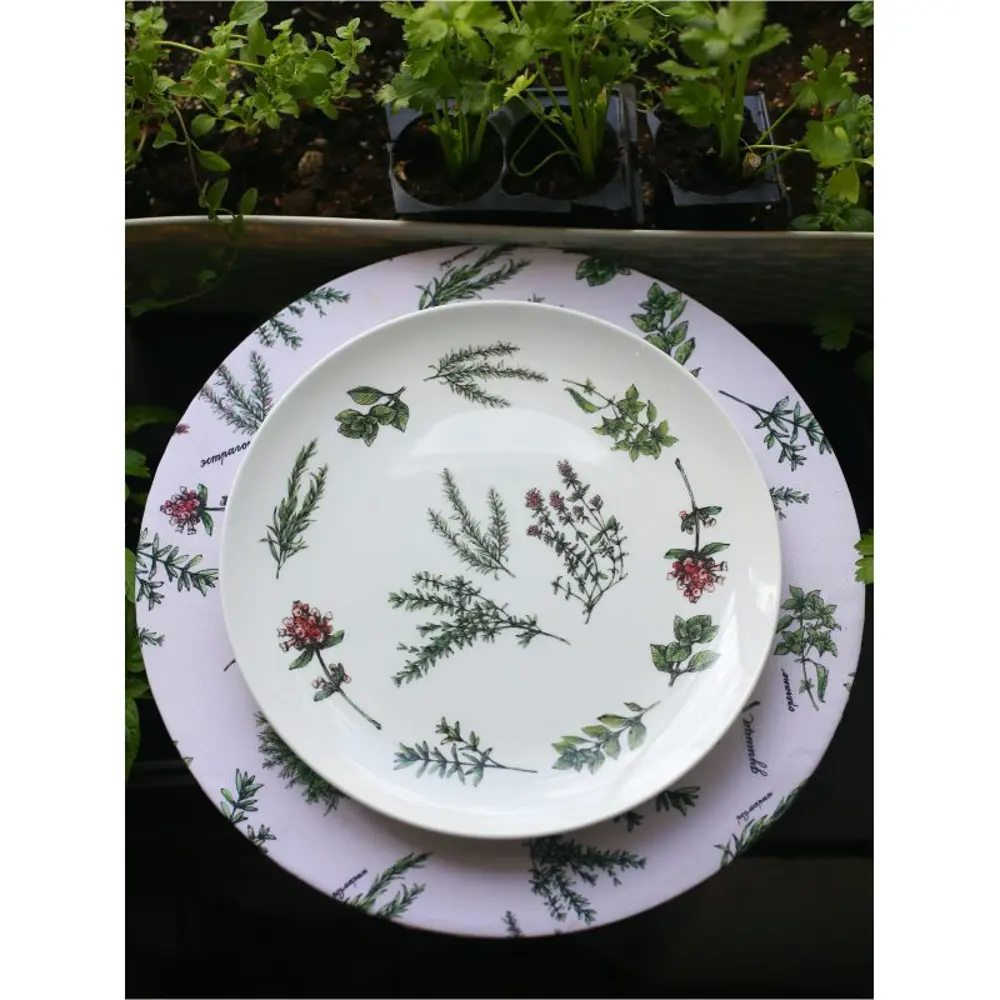 Фото 7 Тарелка Myatashop Пряные травы 26 см фарфор цет белый/зеленый Фото 7 Тарелка Myatashop Пряные травы 26 см фарфор цет белый/зеленый