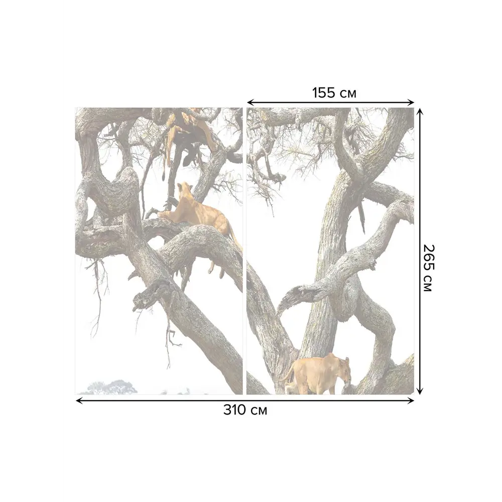 Фото 3 Тюль на шторной ленте Львиное дерево 310х265 см цвет коричневый Фото 3 Тюль на шторной ленте Львиное дерево 310х265 см цвет коричневый