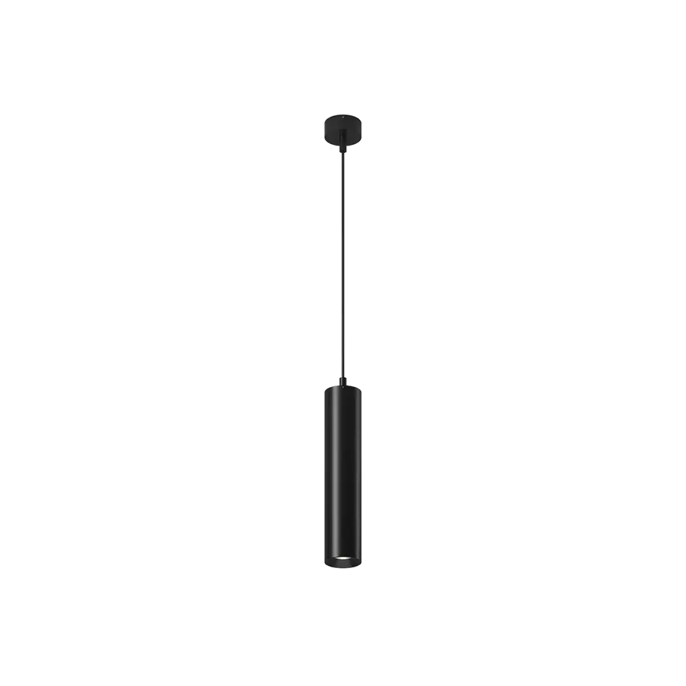 Фото Светильник потолочный светодиодный SWG PRO VL-BASE2-BL-WW VL-BASE2 теплый белый свет цвет черный Фото Светильник потолочный светодиодный SWG PRO VL-BASE2-BL-WW VL-BASE2 теплый белый свет цвет черный