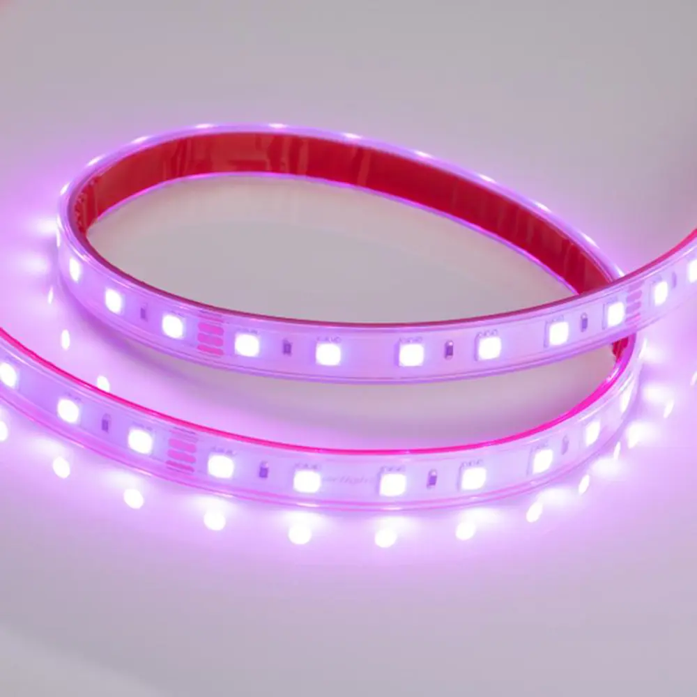 Фото 2 Светодиодная лента ARLIGHT 010366 SMD 5060 60 диод/12 Вт/м 24 В IP66 50 м красный свет Фото 2 Светодиодная лента ARLIGHT 010366 SMD 5060 60 диод/12 Вт/м 24 В IP66 50 м красный свет