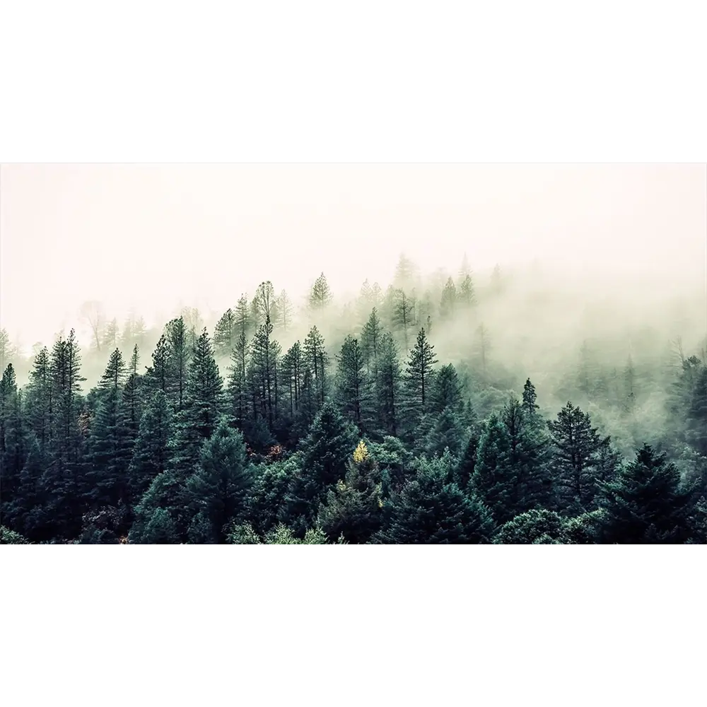 Фото Фотообои флизелиновые Printwalls Forest 500x270 см Туманный хвойный лес Фото Фотообои флизелиновые Printwalls Forest 500x270 см Туманный хвойный лес