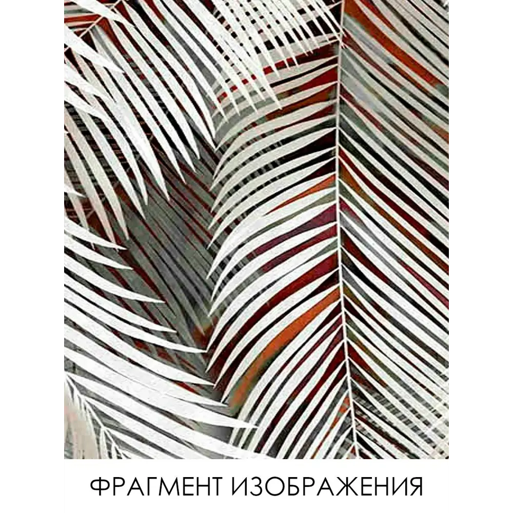 Фото 3 Фотообои флизелиновые Printwalls Leaves 500x270 см Свисающие разноцветные пальмовые листья Фото 3 Фотообои флизелиновые Printwalls Leaves 500x270 см Свисающие разноцветные пальмовые листья