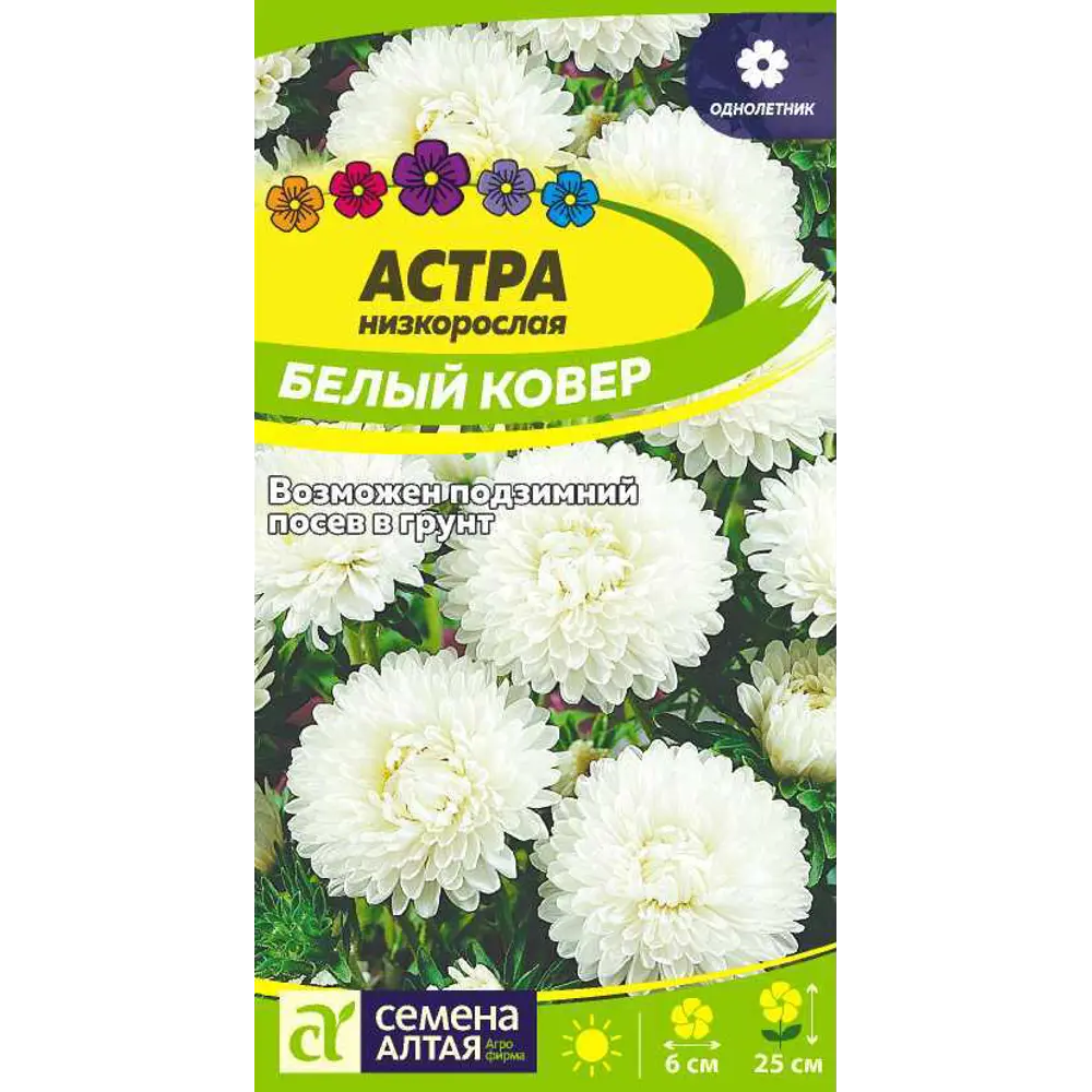 Фото Астра Белый Ковер низкорослая цп 0.2 г Фото Астра Белый Ковер низкорослая цп 0.2 г